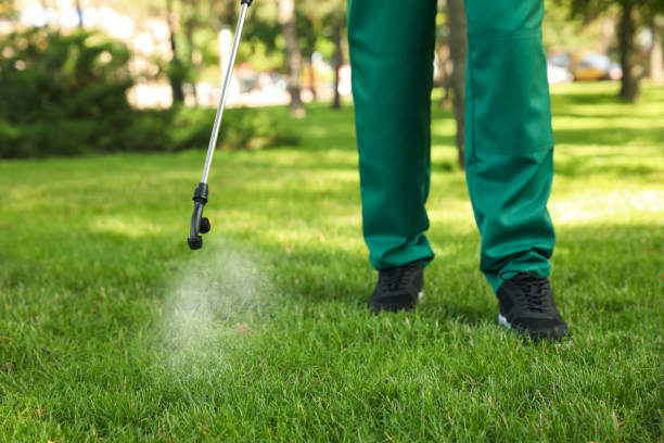 Best Exterminator Services  in Oakville, CT