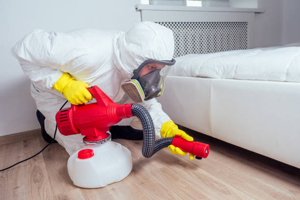 Best Pest Control Near Me  in Oakville, CT