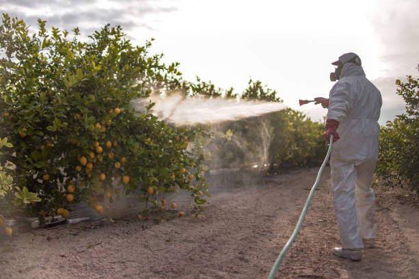 Pest Control Cost in Oakville, CT