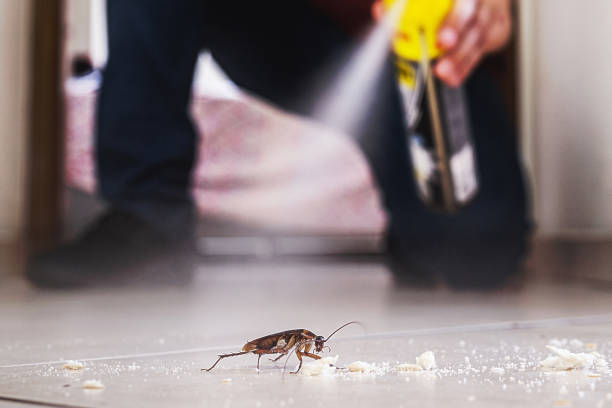 Best Cockroach Control Services  in Oakville, CT