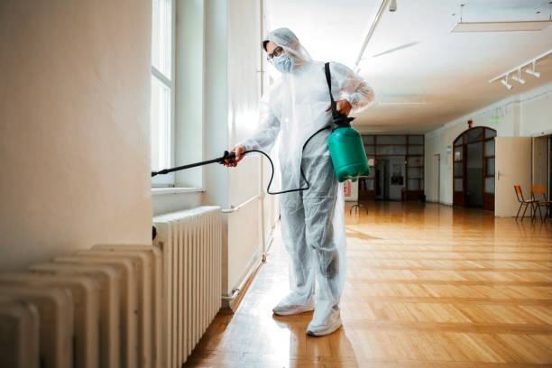 Best Affordable Pest Control Services  in Oakville, CT