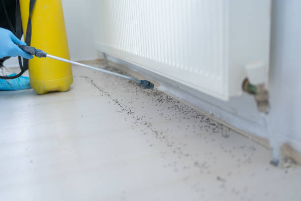 Best Exterminator Services  in Oakville, CT