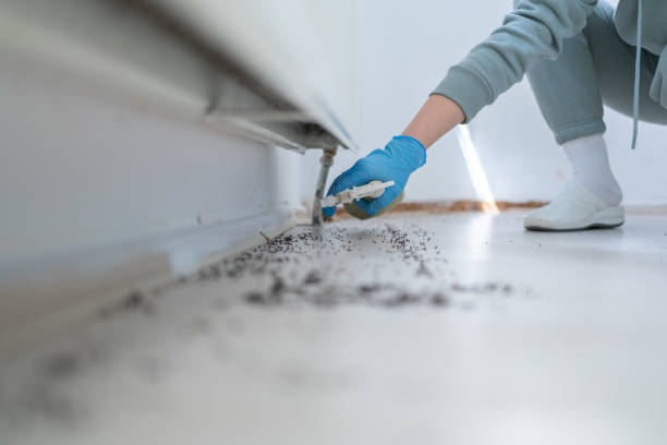 Professional Pest Control in Oakville, CT
